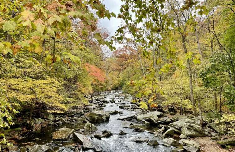 Hiking at Rock Creek Park